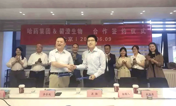 哈药携手清华大学，强强联合共创胶原蛋白行业未来